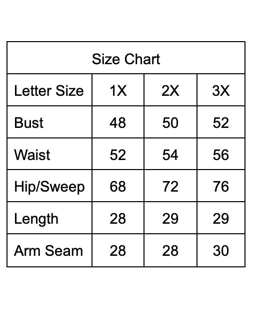 Bohemian Ruffled V Neck Blouse with Bubble Sleeve